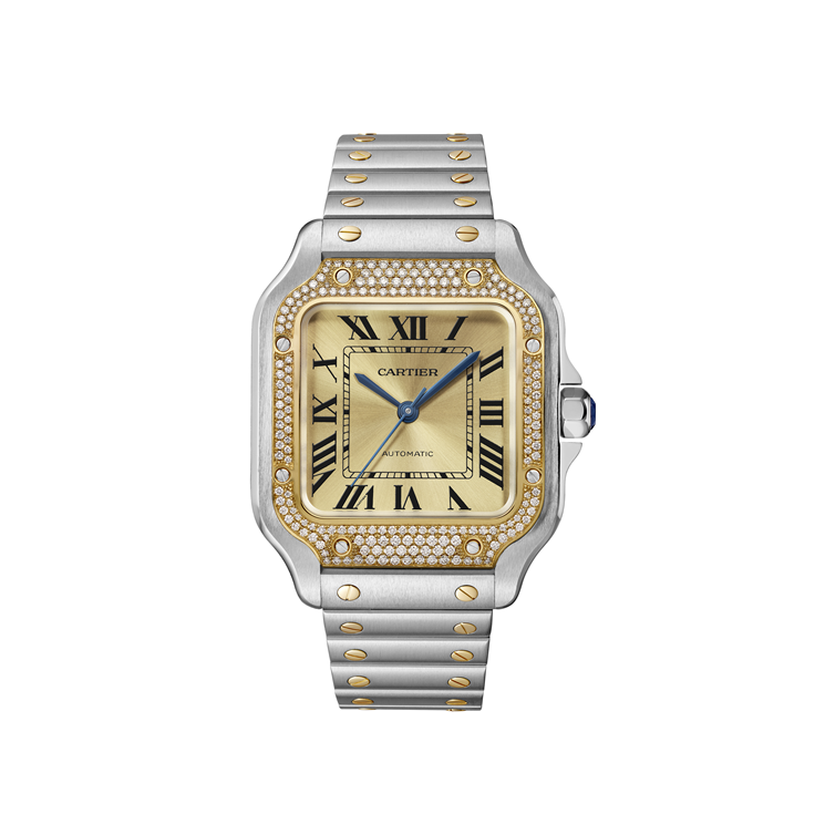 Resim SANTOS DE CARTIER - STEEL AUTOMATIC MEDIUM