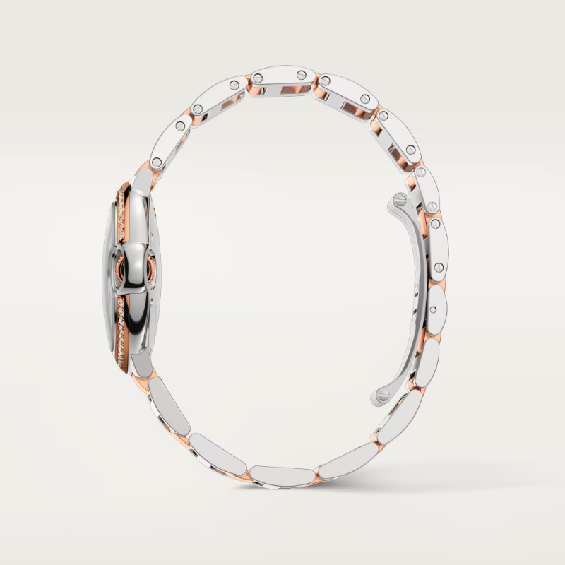 Resim Ballon Bleu de Cartier