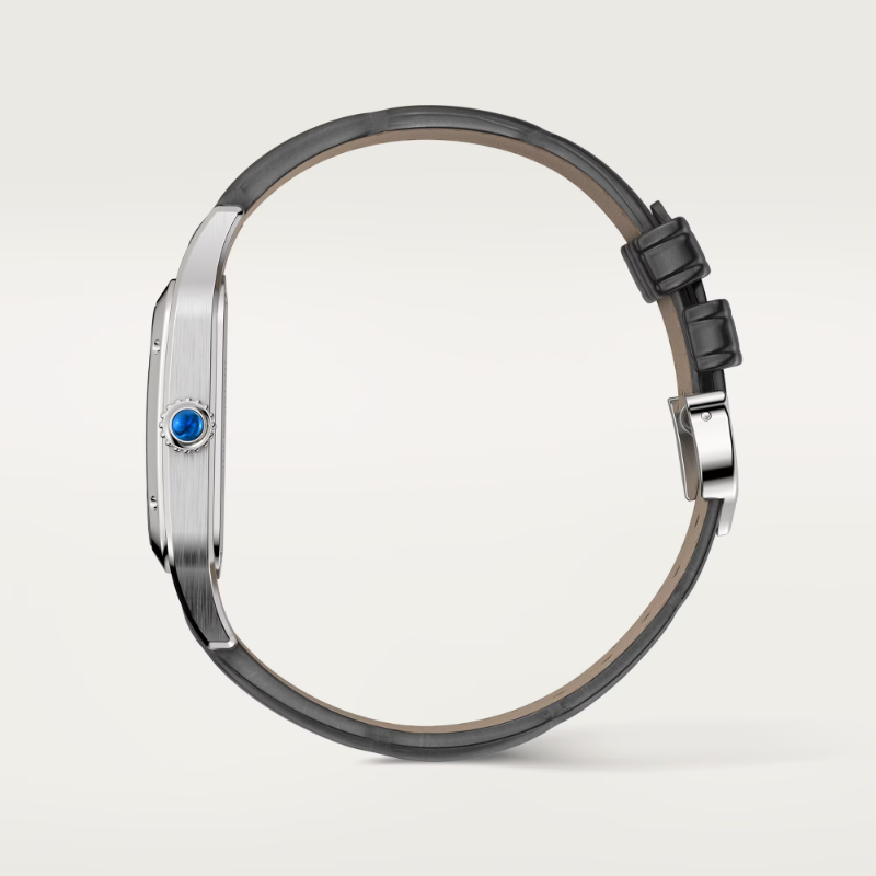 Resim Santos-Dumont Cartier