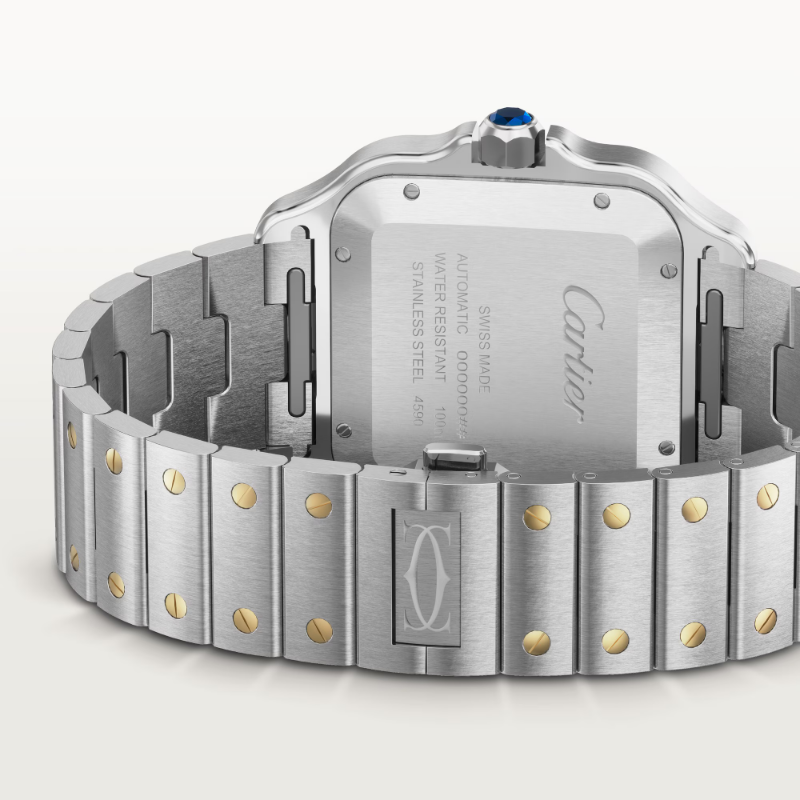 Resim Santos de Cartier - Large