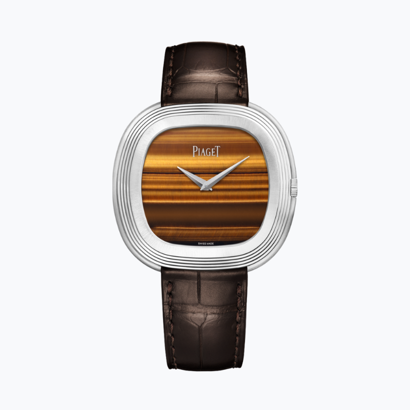 Resim PIAGET Andy Warhol Watch