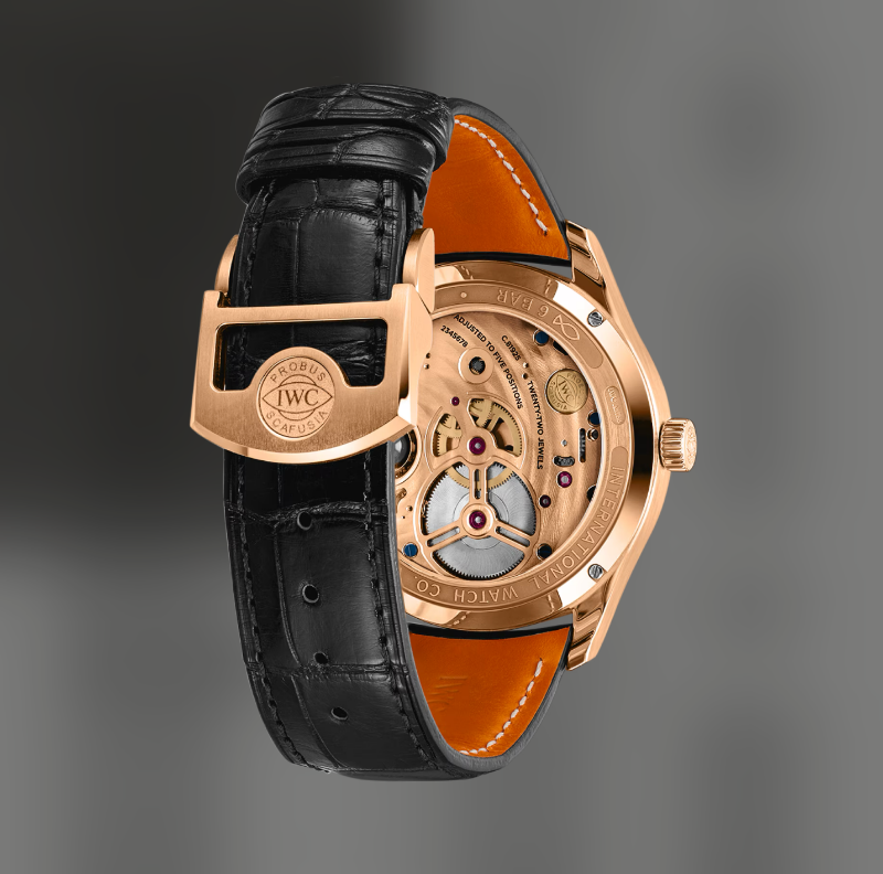 Resim Portugieser Hand-Wound Tourbillon Day & Night