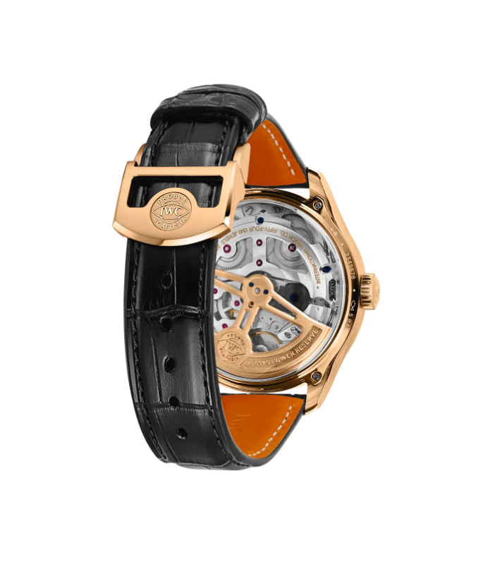 Resim Portugieser Perpetual Calendar 44