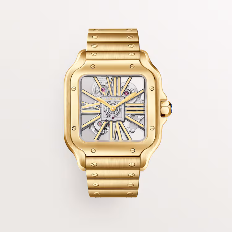 Resim Santos de Cartier Skeleton Watch - Large